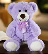 Load image into Gallery viewer, Rainbow Ribbon Teddy Bear
