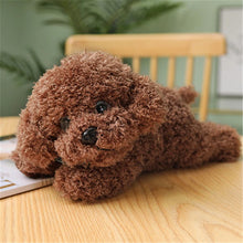 Load image into Gallery viewer, 28cm-48cm Soft Realistic Teddy Dog Plush Toy Available In 13 Different Colours
