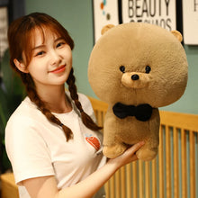 Load image into Gallery viewer, 23cm-40cm Plush Pomeranian Poodle Teddy Dog Available In Brown Or White
