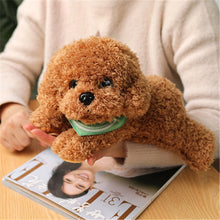 Load image into Gallery viewer, 28cm-48cm Soft Realistic Teddy Dog Plush Toy Available In 13 Different Colours
