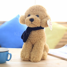 Load image into Gallery viewer, 32cm Teddy Dog Kids Toys Cute Bichon Dog Plush Available In White, Chocolate and Khaki
