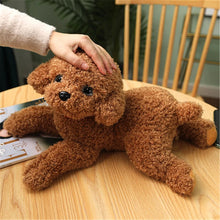 Load image into Gallery viewer, 28cm-48cm Soft Realistic Teddy Dog Plush Toy Available In 13 Different Colours
