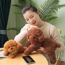 Load image into Gallery viewer, 28cm-48cm Soft Realistic Teddy Dog Plush Toy Available In 13 Different Colours
