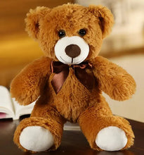 Load image into Gallery viewer, Rainbow Ribbon Teddy Bear
