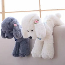 Load image into Gallery viewer, 25cm Cute Poodle Simulation Dog Plush Toys, Available In Black, White, Grey And Light Brown
