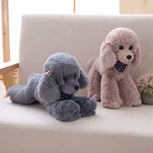 Load image into Gallery viewer, 25cm Cute Poodle Simulation Dog Plush Toys, Available In Black, White, Grey And Light Brown
