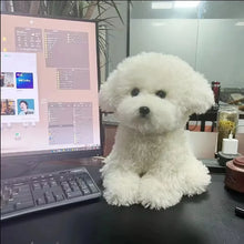 Load image into Gallery viewer, 20cm-35cm Cute Bichon Dog Plush Toy Available In 2 Sizes
