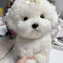 Load image into Gallery viewer, 20cm-35cm Cute Bichon Dog Plush Toy Available In 2 Sizes
