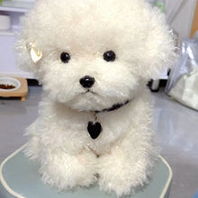 Load image into Gallery viewer, 20cm-35cm Cute Bichon Dog Plush Toy Available In 2 Sizes
