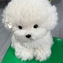 Load image into Gallery viewer, 20cm-35cm Cute Bichon Dog Plush Toy Available In 2 Sizes
