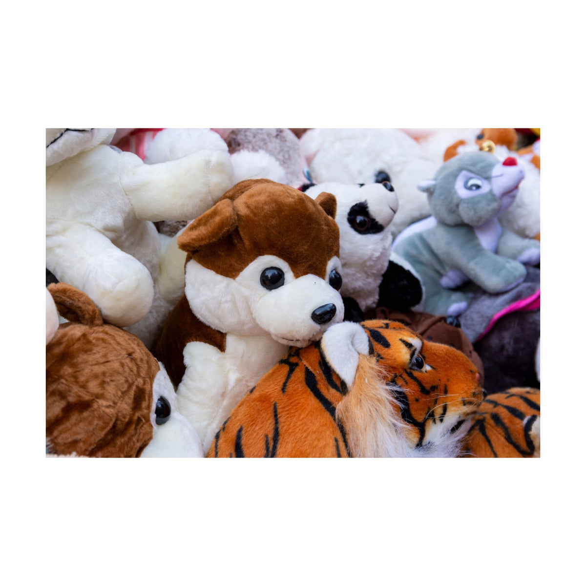 Close up of plushy soft toys with a brown and white dog plushy in the centre, and a soft toy tiger in the bottom corner of the picture