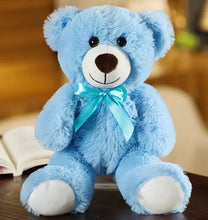 Load image into Gallery viewer, Rainbow Ribbon Teddy Bear
