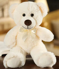 Load image into Gallery viewer, Rainbow Ribbon Teddy Bear
