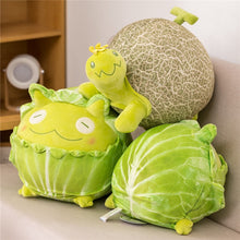 Load image into Gallery viewer, 25cm-40cm Cartoon Cabbage Frog &amp; Vegetable Turtle Stuffed Plush Toys
