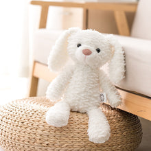 Load image into Gallery viewer, 25cm-50cm High Quality Soft Stuffed Cute Animal Plush Collection
