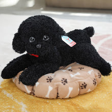 Load image into Gallery viewer, 35cm/55cm Real Life Teddy Dog Poodle Plush Toys For Kids
