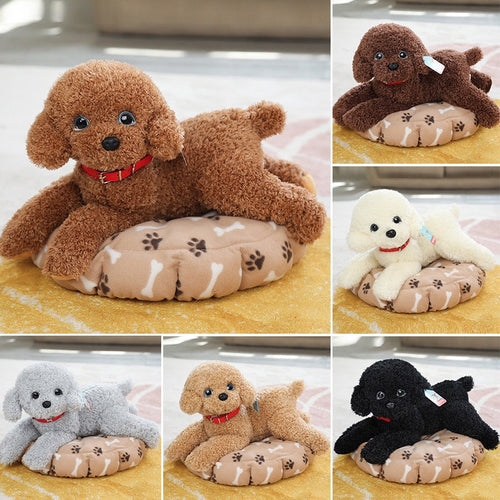 35cm/55cm Real Life Teddy Dog Poodle Plush Toys For Kids