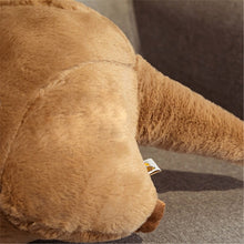 Load image into Gallery viewer, 50cm/65cm Kawaii Nutria Otter Plush Stuffed Animal Plush Toys
