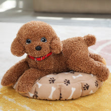 Load image into Gallery viewer, 35cm/55cm Real Life Teddy Dog Poodle Plush Toys For Kids
