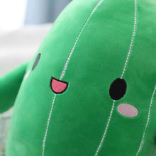 Load image into Gallery viewer, 25cm Cute Adorable Plant Cactus Plush Toys
