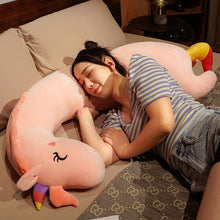 Load image into Gallery viewer, 100cm/120cm Huge Cartoon Long Sleeping Pillow Stuffed Animals
