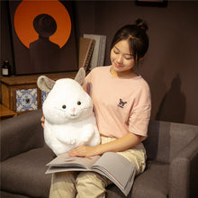 Load image into Gallery viewer, 35cm/45cm Kawaii Life Like Chinchilla Plush Toys
