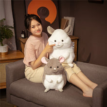 Load image into Gallery viewer, 35cm/45cm Kawaii Life Like Chinchilla Plush Toys
