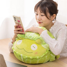 Load image into Gallery viewer, 25cm-40cm Cartoon Cabbage Frog &amp; Vegetable Turtle Stuffed Plush Toys
