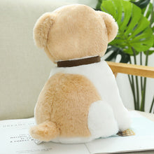 Load image into Gallery viewer, 22cm/30cm/40cm Kawaii Teddy Dog Stuffed Plush Toys
