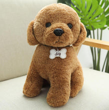 Load image into Gallery viewer, 22cm/30cm/40cm Kawaii Teddy Dog Stuffed Plush Toys
