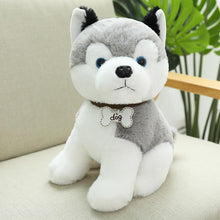 Load image into Gallery viewer, 22cm/30cm/40cm Kawaii Teddy Dog Stuffed Plush Toys
