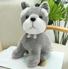 Load image into Gallery viewer, 22cm/30cm/40cm Kawaii Teddy Dog Stuffed Plush Toys
