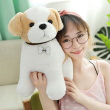 Load image into Gallery viewer, 22cm/30cm/40cm Kawaii Teddy Dog Stuffed Plush Toys
