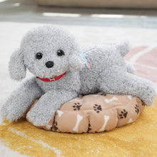 Load image into Gallery viewer, 35cm/55cm Real Life Teddy Dog Poodle Plush Toys For Kids
