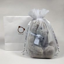 Load image into Gallery viewer, 1pcs Gentleman Teddy Bear In Gift Bag Wearing Bow Tie For Kids
