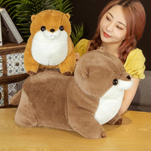 Load image into Gallery viewer, 50cm/65cm Kawaii Nutria Otter Plush Stuffed Animal Plush Toys
