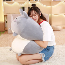 Load image into Gallery viewer, 30cm-90cm Cute Soft Animal Cartoon Corner Bio Plush Pillow Cushions 
