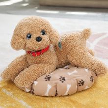 Load image into Gallery viewer, 35cm/55cm Real Life Teddy Dog Poodle Plush Toys For Kids
