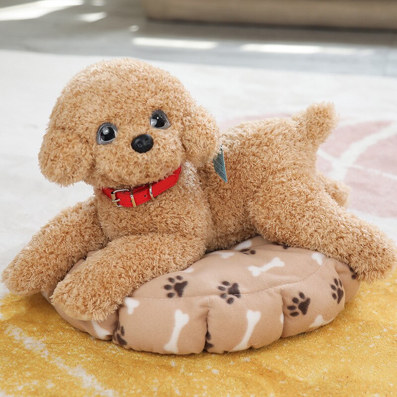 35cm/55cm Real Life Teddy Dog Poodle Plush Toys For Kids