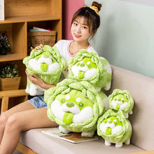 Load image into Gallery viewer, 25cm-55cm Cute Vegetable Cabbage Dog Plush Toys
