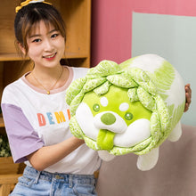 Load image into Gallery viewer, 25cm-55cm Cute Vegetable Cabbage Dog Plush Toys
