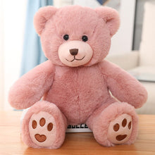 Load image into Gallery viewer, 35cm Cute Teddy Bear Plush Dolls With Pearl Keychains
