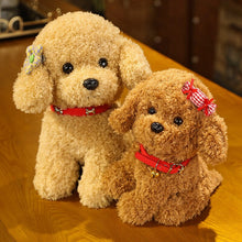 Load image into Gallery viewer, 22cm/28cm Real Life Teddy Dog Poodle Plush Toys Stuffed Animal Doll
