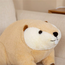 Load image into Gallery viewer, 45cm/60cm Beaver Wild Animal Plush Toys Stuffed Dolls
