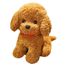 Load image into Gallery viewer, 22cm/28cm Real Life Teddy Dog Poodle Plush Toys Stuffed Animal Doll
