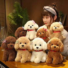 Load image into Gallery viewer, 22cm/28cm Real Life Teddy Dog Poodle Plush Toys Stuffed Animal Doll
