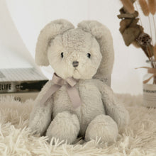 Load image into Gallery viewer, 28cm/35cm Creative Colourful Teddy Bear Stuffed Animal Plush Toy With Ribbon
