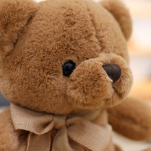 Load image into Gallery viewer, 20cm/32cm/40cm Kawaii Teddy Bear Plush Doll Cute Animal Plushies
