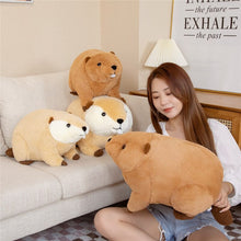 Load image into Gallery viewer, 45cm/60cm Beaver Wild Animal Plush Toys Stuffed Dolls
