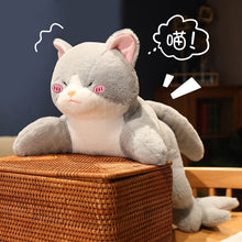 Load image into Gallery viewer, 50cm-90cm Kawaii Transformation Morphing Shark &amp; Cat Plush Toys
